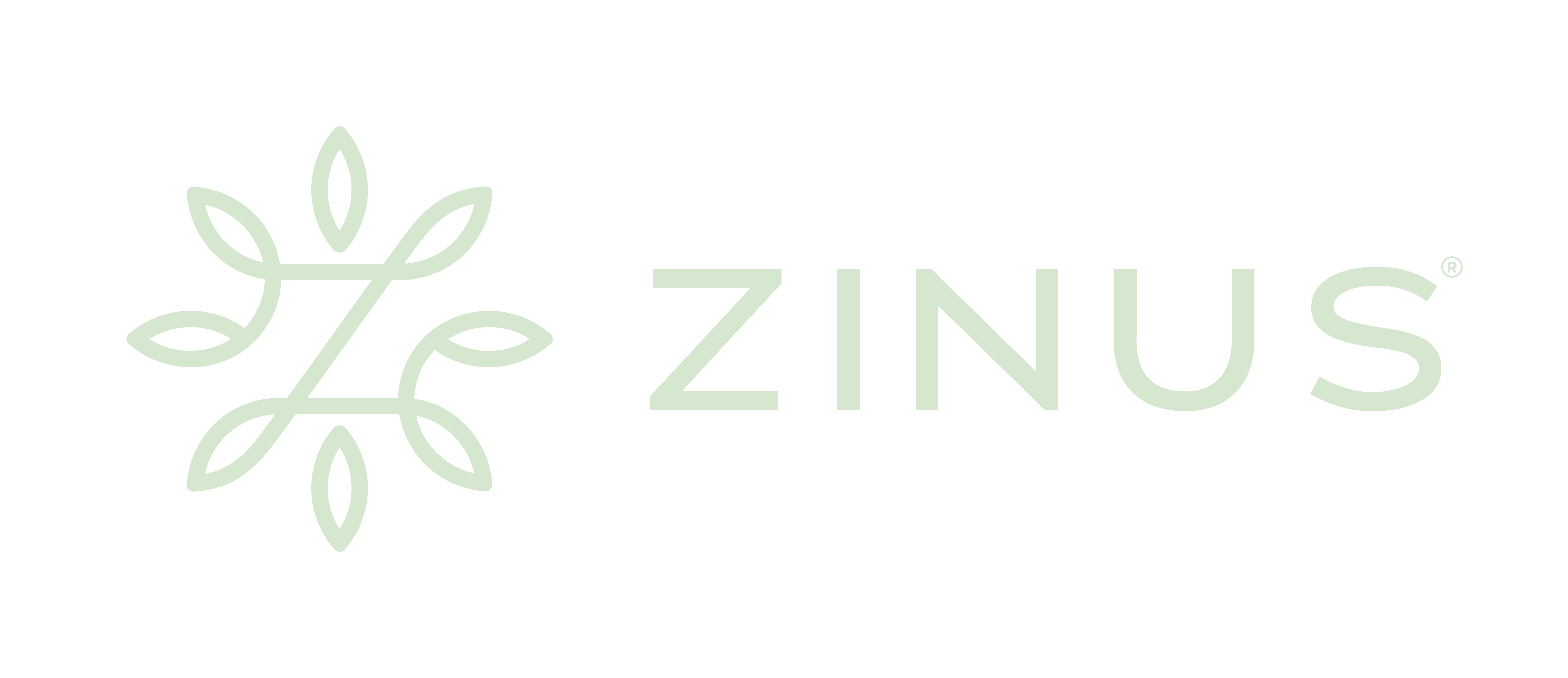 Web & Brand Designer